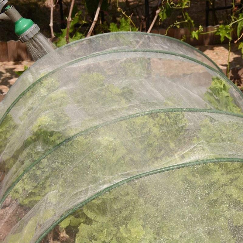 6/10M Netting Insect Bug Fly Fruit Mesh Net Vegetable Plant Protection Cover - 6*2.5 Meters