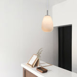 Briella Elegant Frosted Glass Pendant Light - Front View