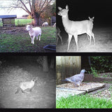 8Mp Waterproof Trail Camera With Night Vision And Wide Angle Lcd - Extra Image
