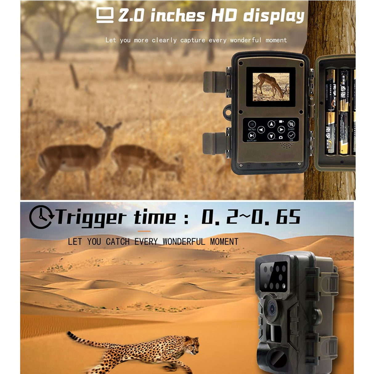 1080p Wildlife Hunting Camera with Night Vision for Outdoor Tracking