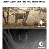 1080p Wildlife Hunting Camera with Night Vision for Outdoor Tracking - Low Angle