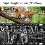 Outdoor Hunting Camera with Wifi & Remote Control - View Photos / Video Anytime - Low Angle
