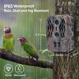 50mp 4k Dual Lens Infrared Hunting Camera for Outdoor Rainfall and Fog - Rear View