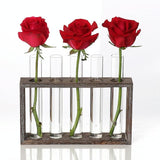 Minimalist Hydroponic Glass Vase with Wooden Frame for Coffee Shop Decor - Front View