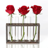 Minimalist Hydroponic Glass Vase with Wooden Frame for Coffee Shop Decor - Side View