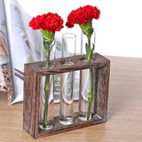 Minimalist Hydroponic Glass Vase with Wooden Frame for Coffee Shop Decor - Top-Down View