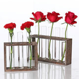 Minimalist Hydroponic Glass Vase with Wooden Frame for Coffee Shop Decor - Close-Up Angle