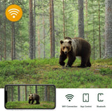 Outdoor Hunting Camera with Wifi900pro for Remote Viewing of Photos / Videos - Rear View