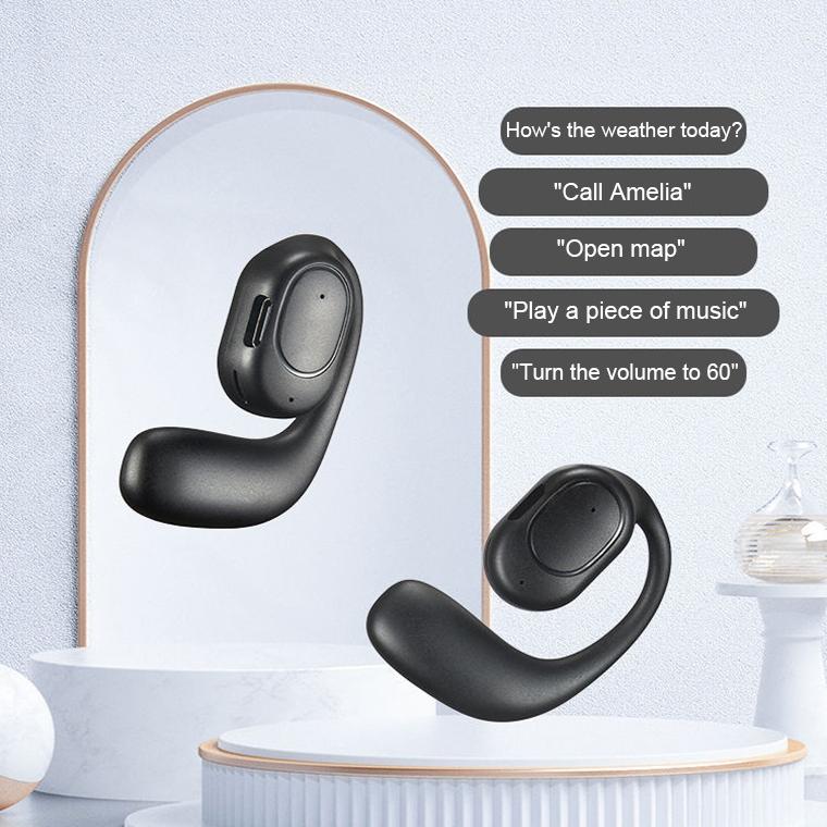 Wireless Bluetooth 5.2 Earphones with Noise Reduction Ear-mounted Design - Black Without Accessories