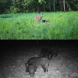 Outdoor Hunting Camera with Infrared Night Vision - 2.7k Resolution - Extra Image