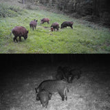 24mp 2.7k Outdoor Track Camera for Infrastructure Monitoring and Hound Tracking - Extra Image