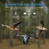 Outdoor 4G Night Vision Trail Camera With Infrared - Extra Image