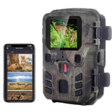 20Mp Hunting Trail Camera With Night Vision And Wildlife Scouting - Front View
