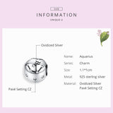 925 Sterling Silver Diy Zodiac Bracelet Beads Constellation Accessories Style - Aquarius - Top-Down View