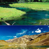 52mm Round Filter for Gopro Hero 4 / 3 and Xiaoyi Sport Cameras - Low Angle