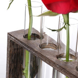 Minimalist Hydroponic Glass Vase with Wooden Frame for Coffee Shop Decor - Rear View