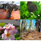 10x Macro Lens for Gopro Hero5 Action Camera - 52mm - Close-Up Angle