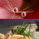 10x Macro Lens for Gopro Hero5 Action Camera - 52mm - Low Angle