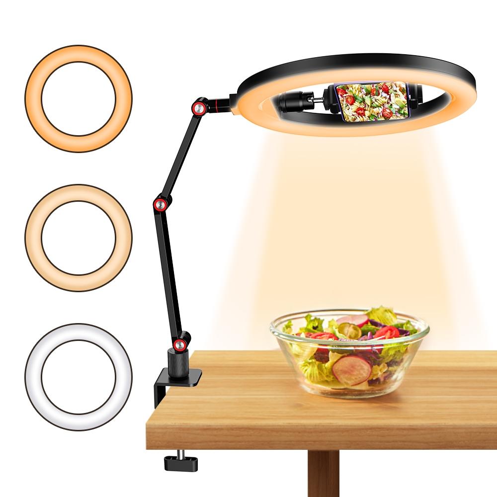 Foldable 10 Led Ring Light with Swing Arm Stand & Phone Holder