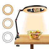 Foldable 10 Led Ring Light with Swing Arm Stand & Phone Holder - Close-Up Angle