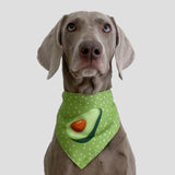 Refreshing Avocado Pet Scarf Three-Layer Thickened Waterproof Saliva Towel - Size M - Low Angle