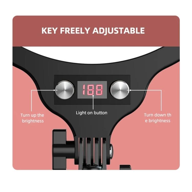 Full-screen 12.6 Selfie Ring Light Tripod Set - 210cm for Live Stream - 210Cm Bracket