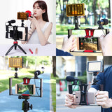 Live Broadcast Vlogging Kit With Led Light Microphone Tripod & Cold Shoe Head - Blue