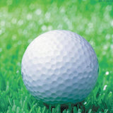 Double Layer Elastic Golf Balls for Driving Range - Synthetic Rubber - Top-Down View