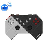 Silver Gamepad for Switch - Tooth-shaped - Front View
