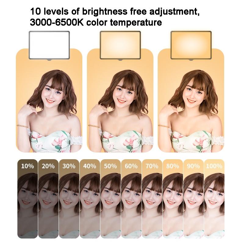 10 Three-colour Temperature Flat-panel Live Fill Light with 2.1m Bracket
