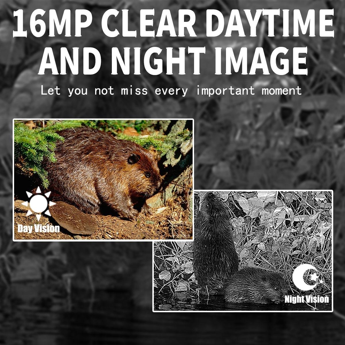 12mp Outdoor Night Vision Hunting Camera with Motion Activation