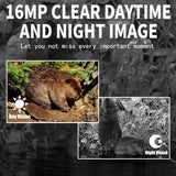 12mp Outdoor Night Vision Hunting Camera with Motion Activation - Low Angle
