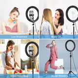 10.2 Led Ring Light with 1.1m Tripod for Vlogging and Live Streaming - Low Angle
