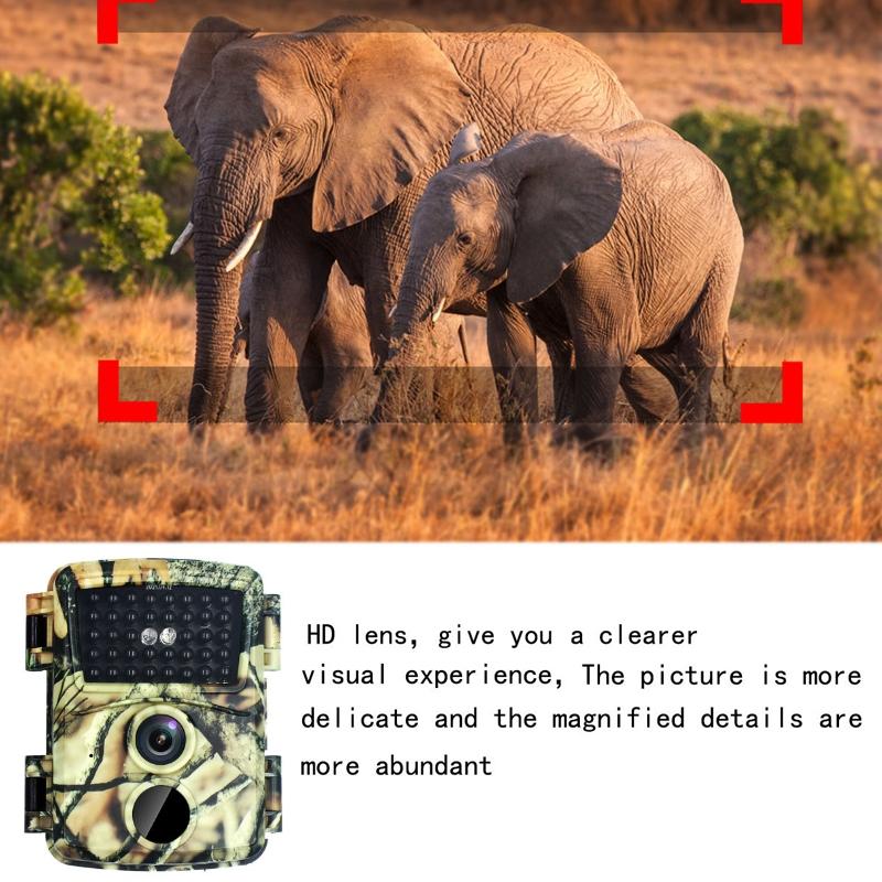 20mp Hd Infrared Hunting Camera with 38 Ir Lights