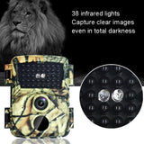 20mp Hd Infrared Hunting Camera with 38 Ir Lights