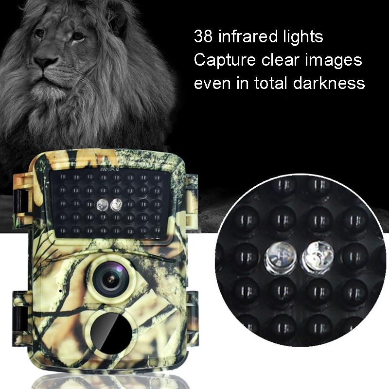 20mp Hd Infrared Hunting Camera with 38 Ir Lights