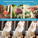 Waterproof Infrared Night Vision Camera for Outdoor Monitoring - Rear View