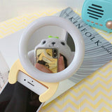 Portable Handheld Live Light for Mobile Self-timer - Pink - Low Angle