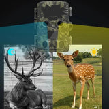 Outdoor Camouflage Dual Lens Infrared Camera with 4k Resolution and Night Vision - Top-Down View