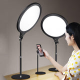 26cm Live Broadcast Beauty Light Bracket - Medium Version & Black Desktop Photography - Side View