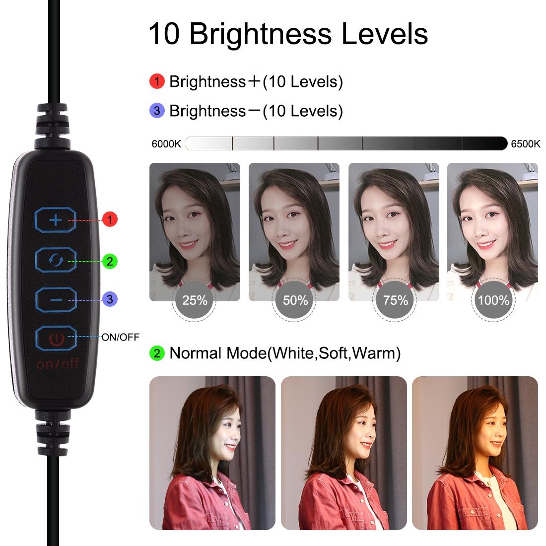 10.2 Dual-colour Led Ring Light with Usb Bluetooth Remote and Phone Holder - Black