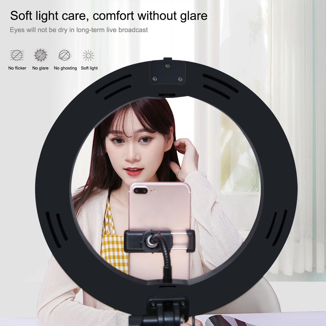 10.2 Dual-colour Led Ring Light with Usb Bluetooth Remote and Phone Holder - Black
