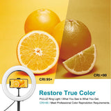 10.2 Dual-colour Led Ring Light with Usb Bluetooth Remote and Phone Holder - Black