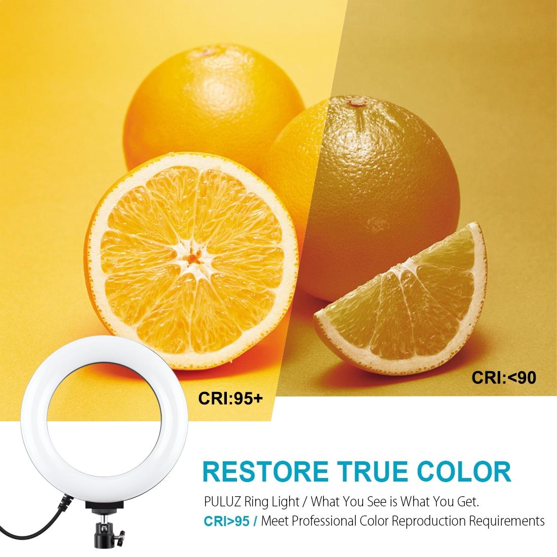 10 Mode Usb Led Ring Light with Tripod and Ball Head - 6.2 Inch Diameter - Black