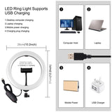 10.2 Curved Led Ring Light with Dual-colour Temperature Remote and Tripod - Rear View