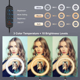 10.2 26cm Ring Light Kit with Tripod Usb 3 Modes Dual Colour Phone Clamp Remote - Black - Low Angle