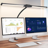 Double Head Clip Desk Lamp with Gooseneck Tube Led in Black