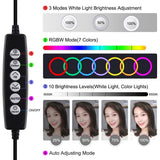 10 Mode Rgbw Led Ring Light with Tripod and Ball Head - 4.7 Inch Curved Surface - Pink
