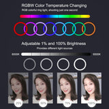 10.2 Curved Led Ring Light with Tripod & Remote for Vlogging & Photography - Pink