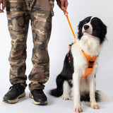 Vibe Geeks Ultimate 2-in-1 Reflective No-pull Dog Harness with Retractable Leash and Control Handle - Orange - Xl - Extra Image